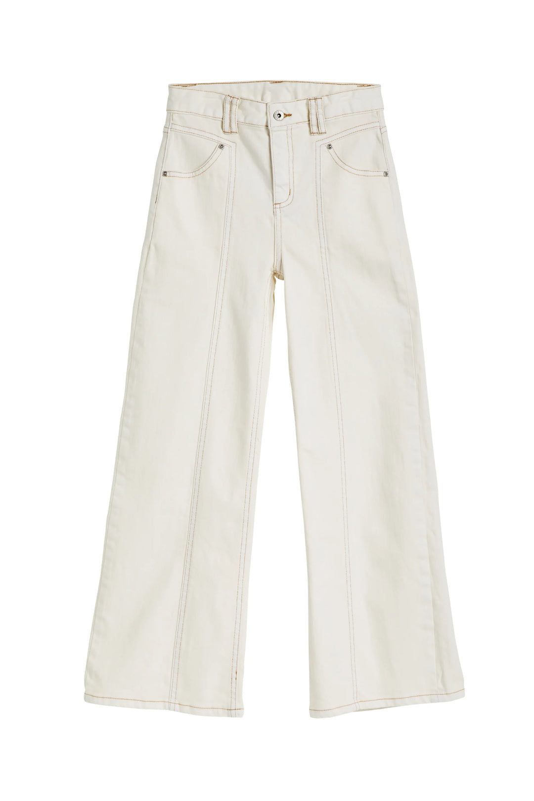 T Seam Carpenter Wide Leg Jean