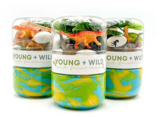 Grab & Go Dinosaur Dough Jar