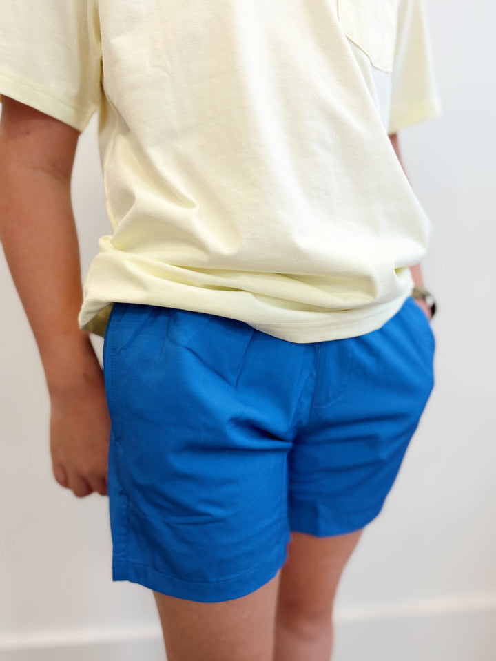 Navy to Shark Swim Trunks